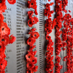 Poppy project – cycle 3 (CM2)